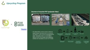 FP PnS 2025.026